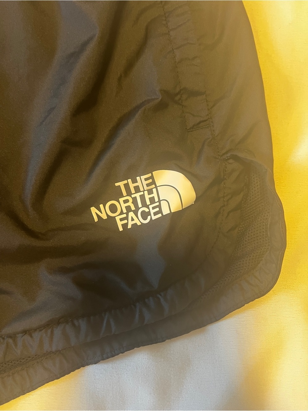 The North Face Hydrenaline Shorts Women’s Black Size XL Lightweight Athletic - Picture 4 of 10